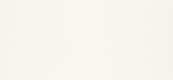 Blizzard / Snow - 2141